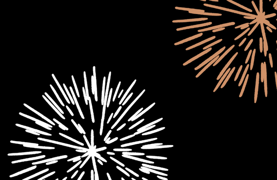 Fireworks in the night's sky